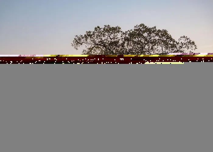 Salzbergalm *
