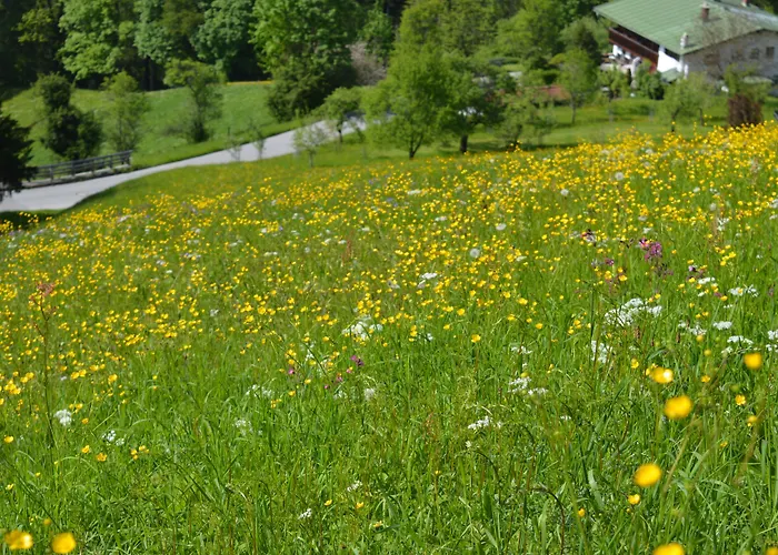 Salzbergalm Appartamento