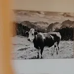 Lejlighed Salzbergalm *